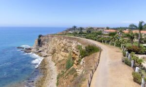 Coastal bluff with luxury homes near the edge, showing why a boundary line survey is essential for protecting coastal properties.