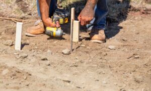 Surveyor placing wooden stakes to mark a property line during a property line survey